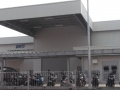 DNTI2
