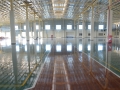Mitsuba-20120501 035